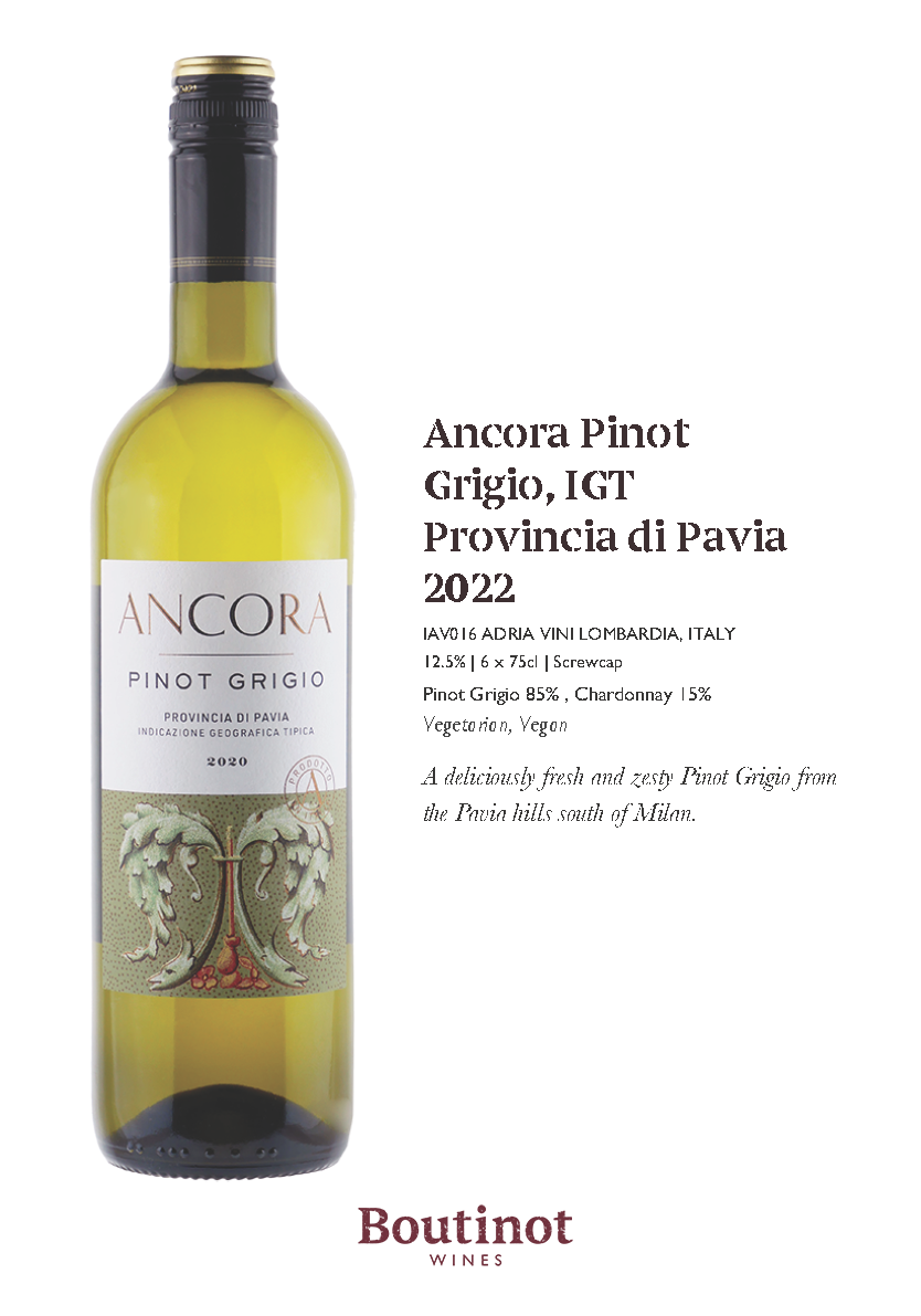 ANCORA PINOT GRIGIO 2022, 12%