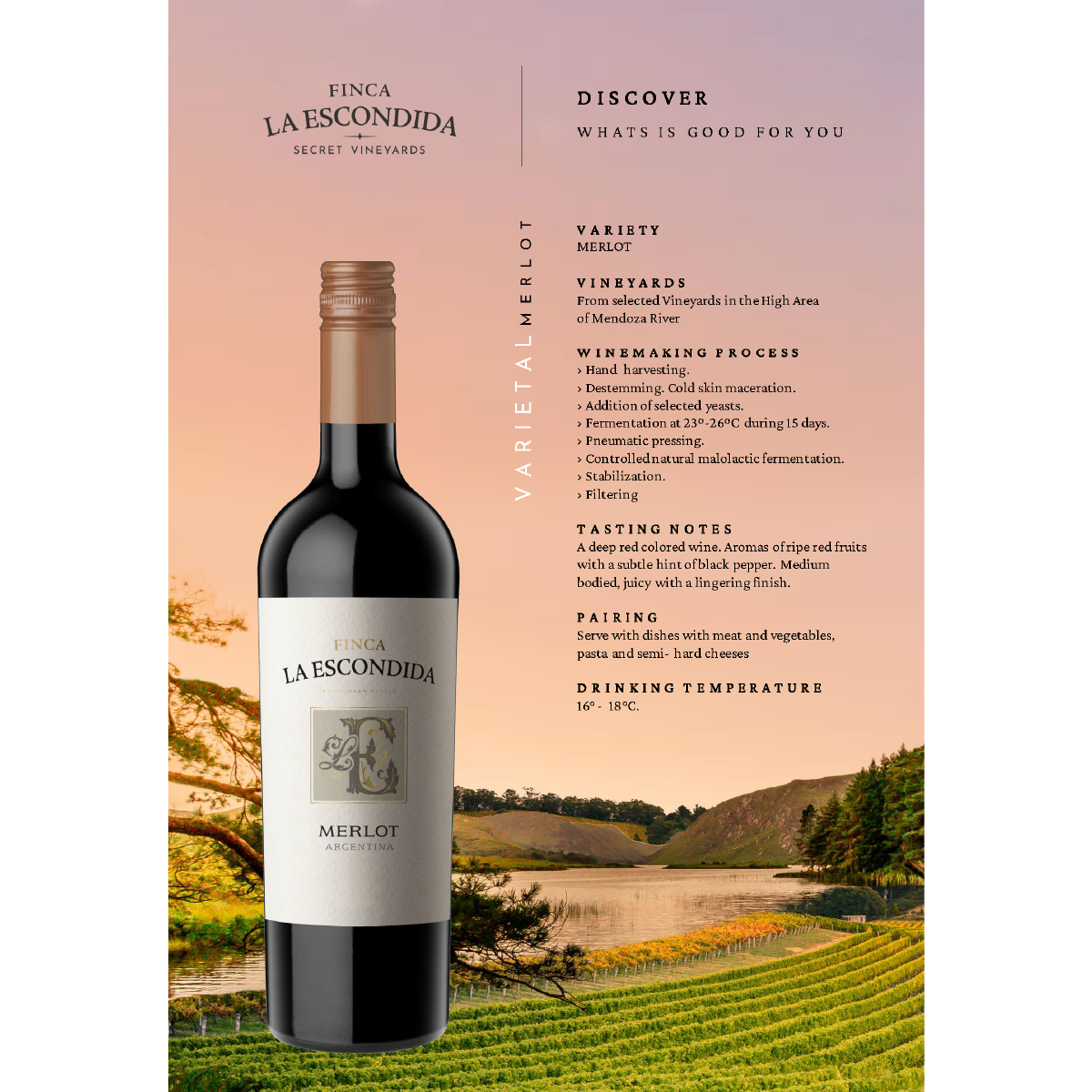 FINCA LA ESCONDIDA MERLOT 2023 12.5%